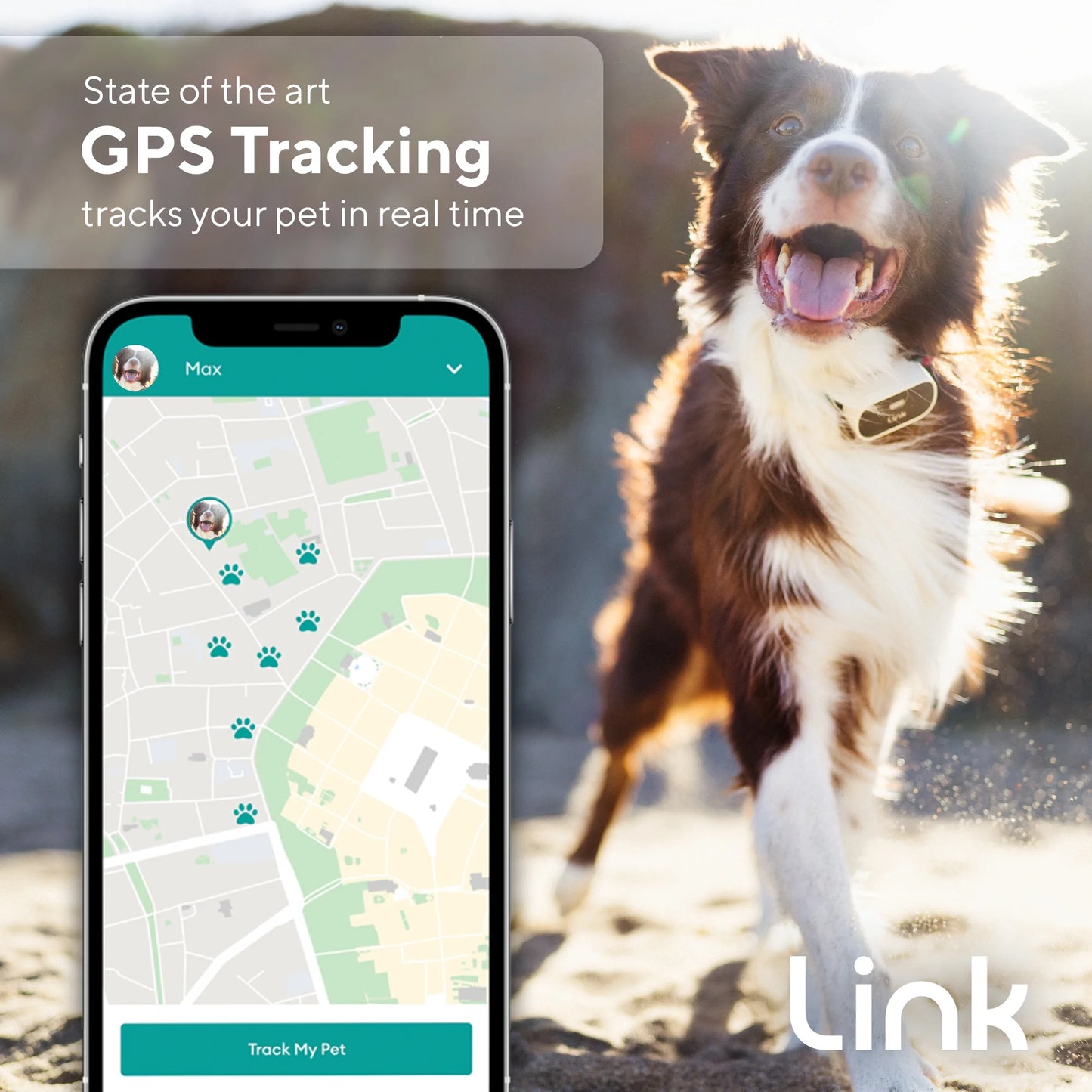 GPS Dog Tracker & Activity Monitor with Training Tools, Fits Any Collar