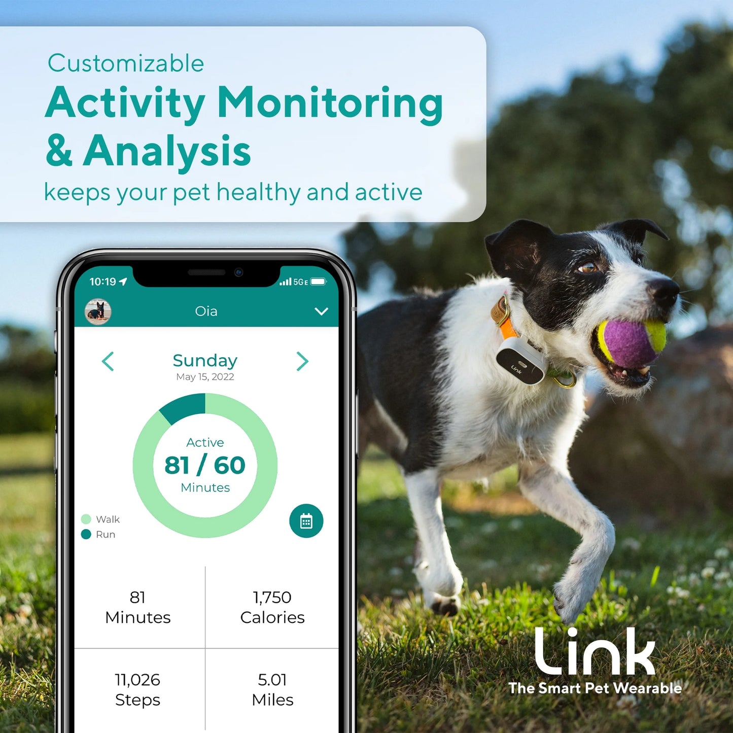 GPS Dog Tracker & Activity Monitor with Training Tools, Fits Any Collar