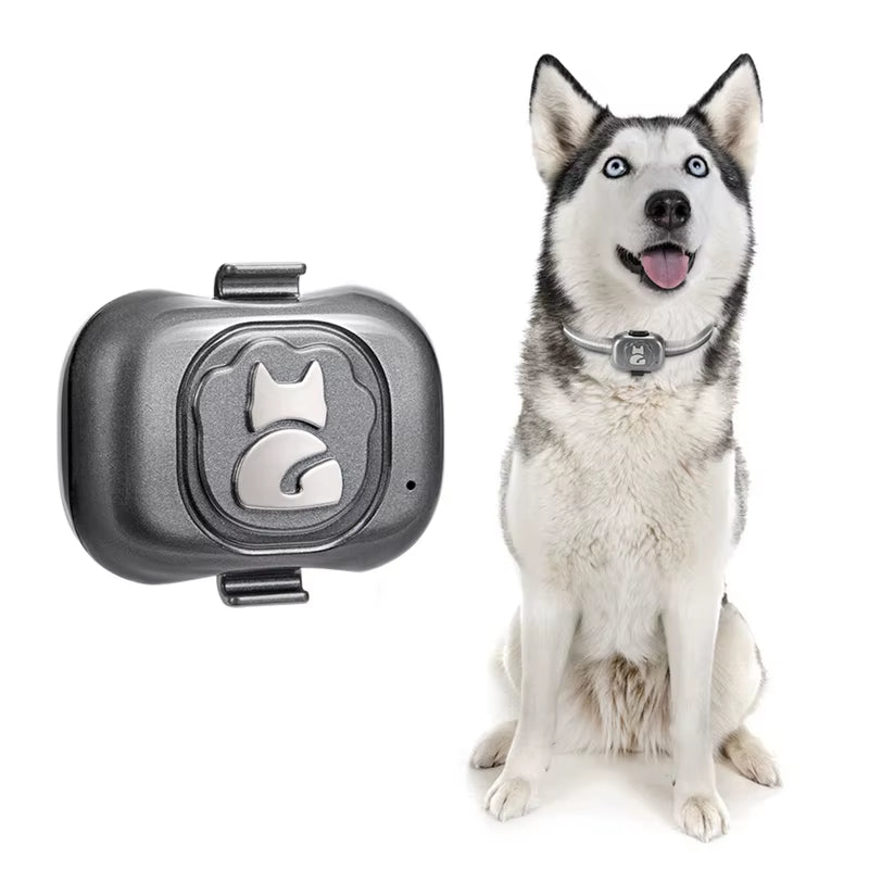 4G Gps Tracker for Dog Locator Waterproof Anti-Lost Device Smart Phone Object Finder Small Alarm Pet Anti-Theft