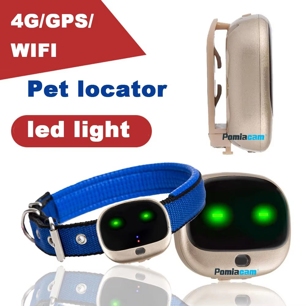 RF-V43 4G SIM Dog Gps Pet Tracker 4G GPS Locator for Cat UK USA Australia Canada Singapore Worldwide Coverage