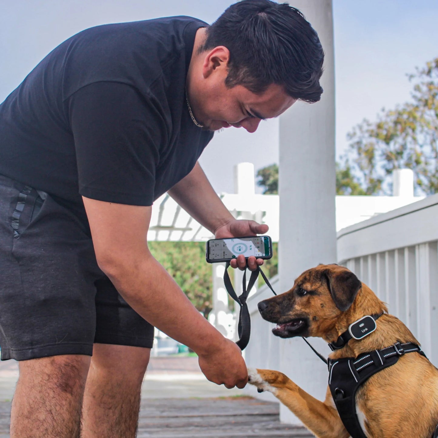 GPS Dog Tracker & Activity Monitor with Training Tools, Fits Any Collar