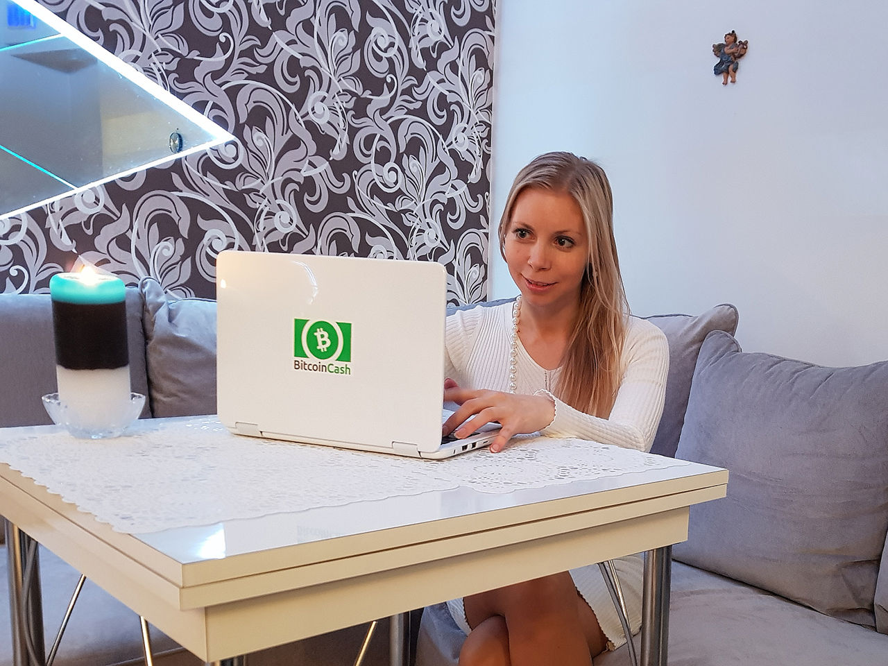 Person using a laptop with a cryptocurrency sticker