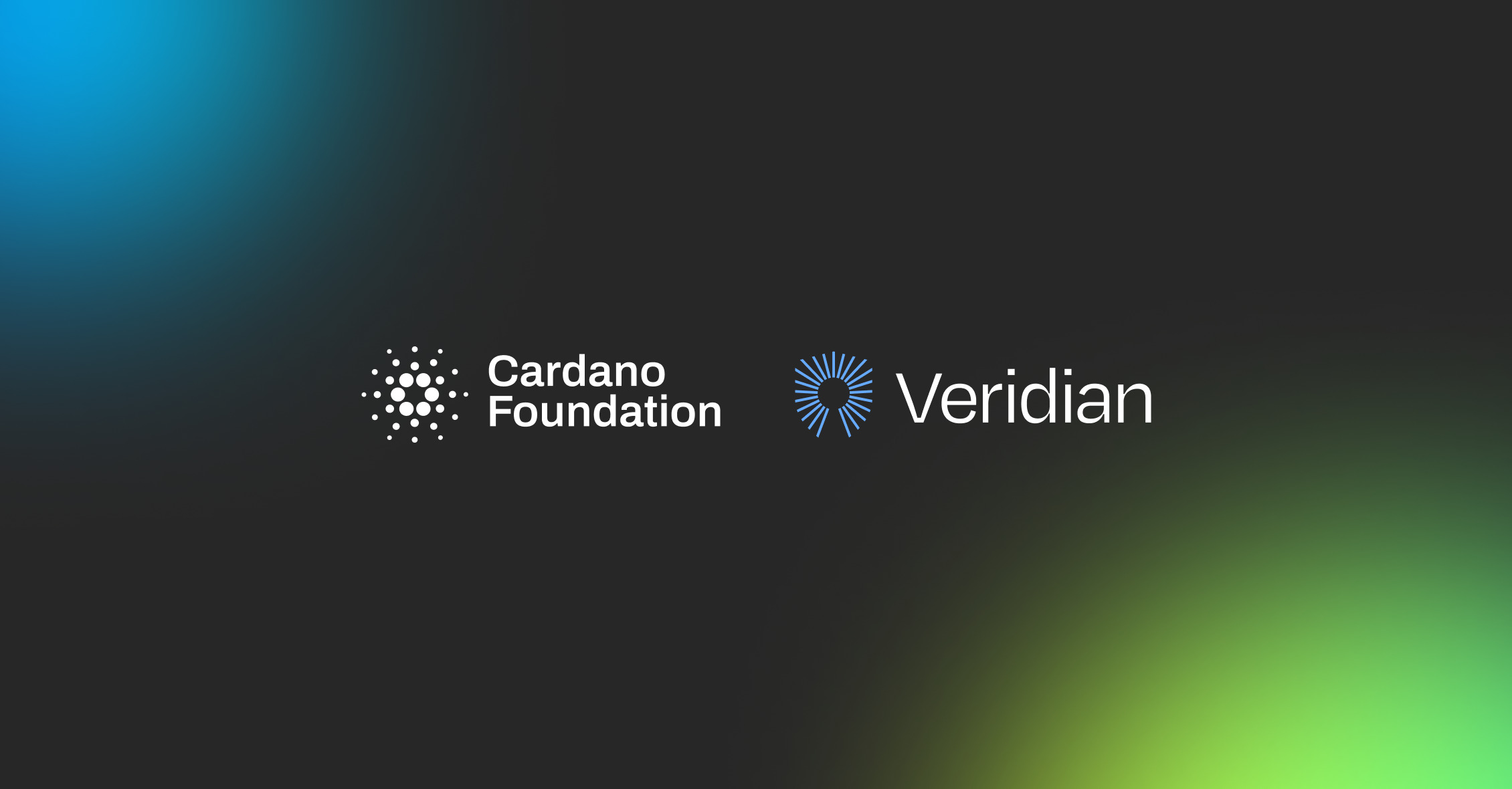 Cardano Foundation announcement graphic showing the Veridian spinout and digital identity network